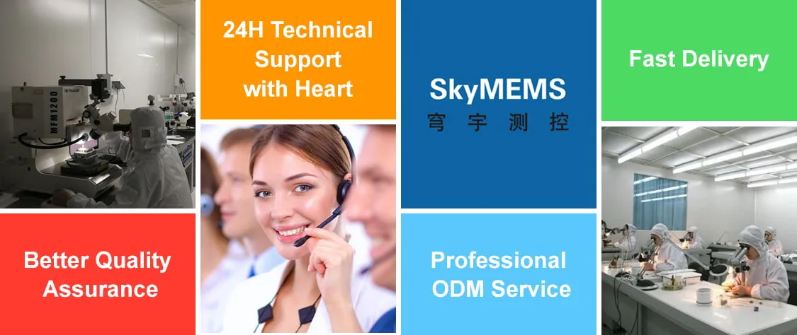 MAS3009 seismic accelerometer