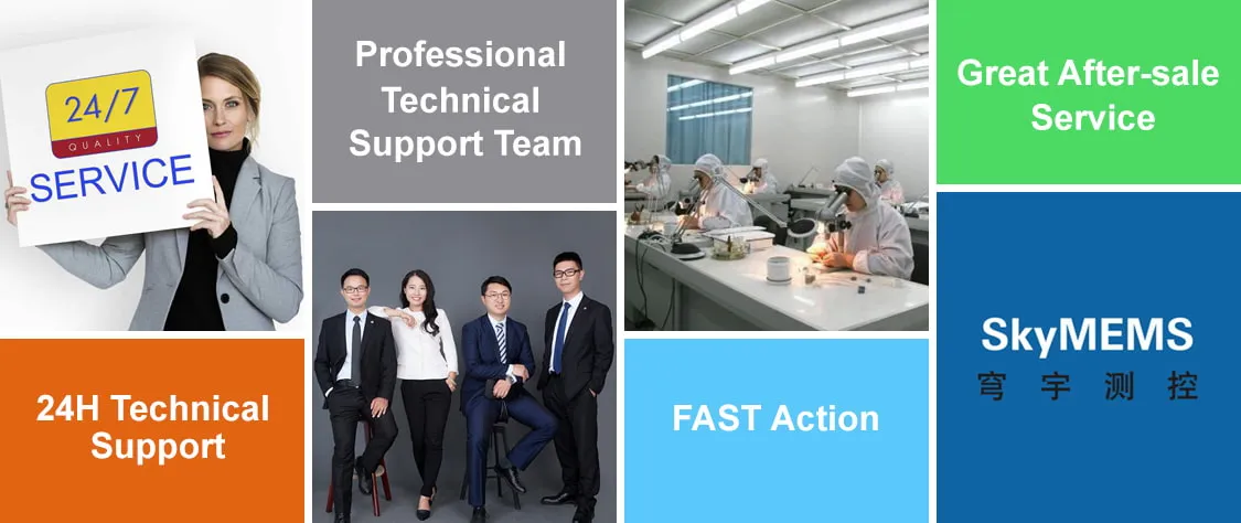 MAS3009 seismic accelerometer